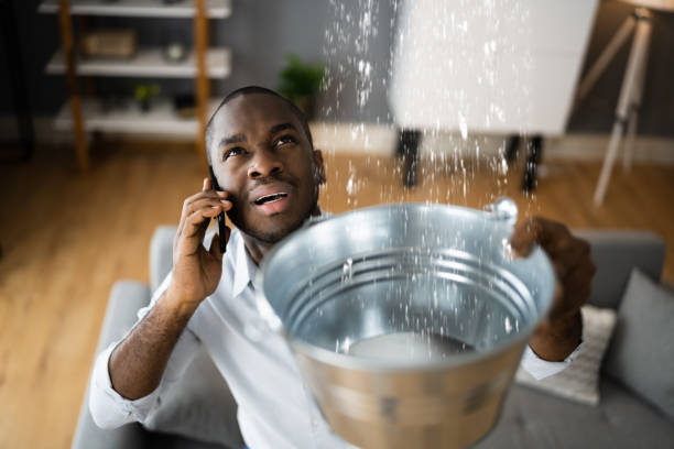 Best 24/7 water damage repair  in Mount Gilead, NC