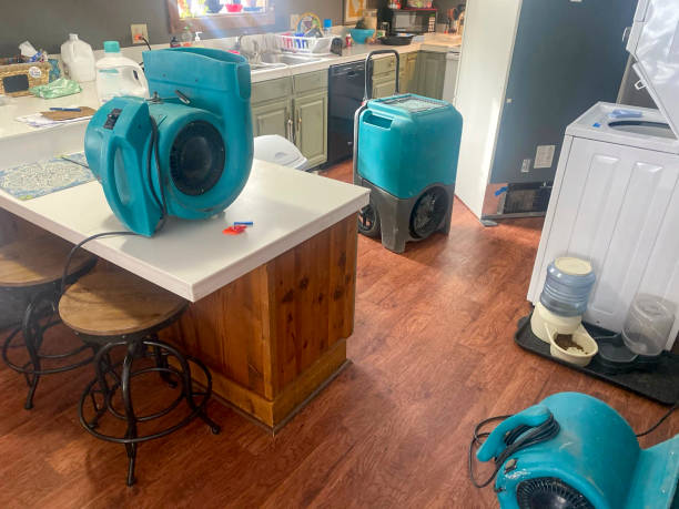 Best Water damage contractors near me  in Mount Gilead, NC