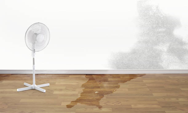 Best Sewage cleanup and water damage restoration  in Mount Gilead, NC