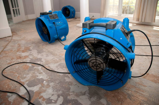 Best Residential water damage restoration  in Mount Gilead, NC