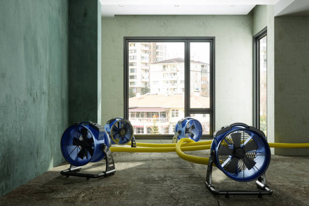 Best Commercial water damage restoration  in Mount Gilead, NC